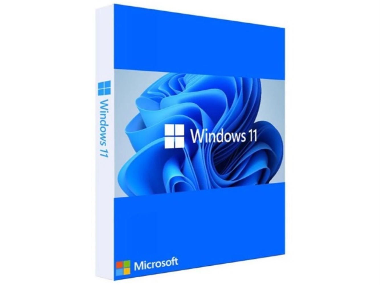 Windows 10 / 11